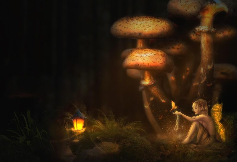 Illustration: A fairy holding a small glowing light near large mushrooms