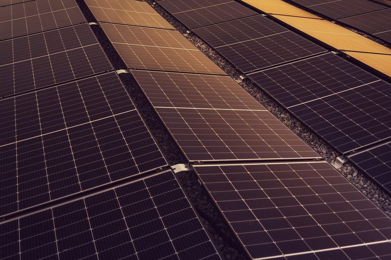 Illustration: An aerial view of rows of dark solar panels outside