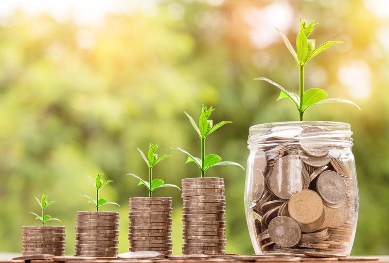 Illustration: Stacks of coins with growing plants representing wealth and investment