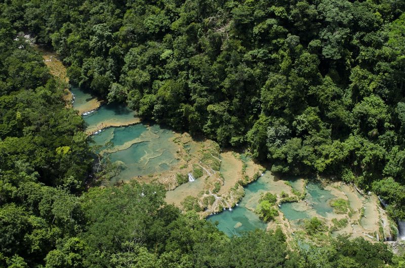 Illustration: A high-angle view of a river winding through a dense forest
