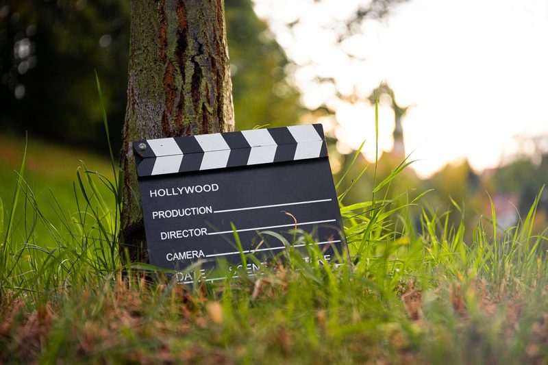 Illustration: A movie clapperboard leaning against a tree trunk in grass