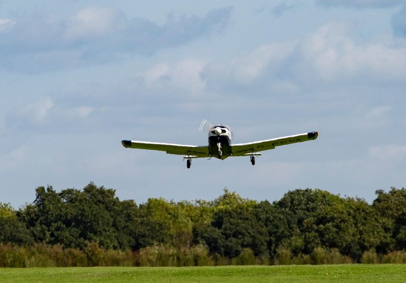 Illustration: A small airplane flying over green trees