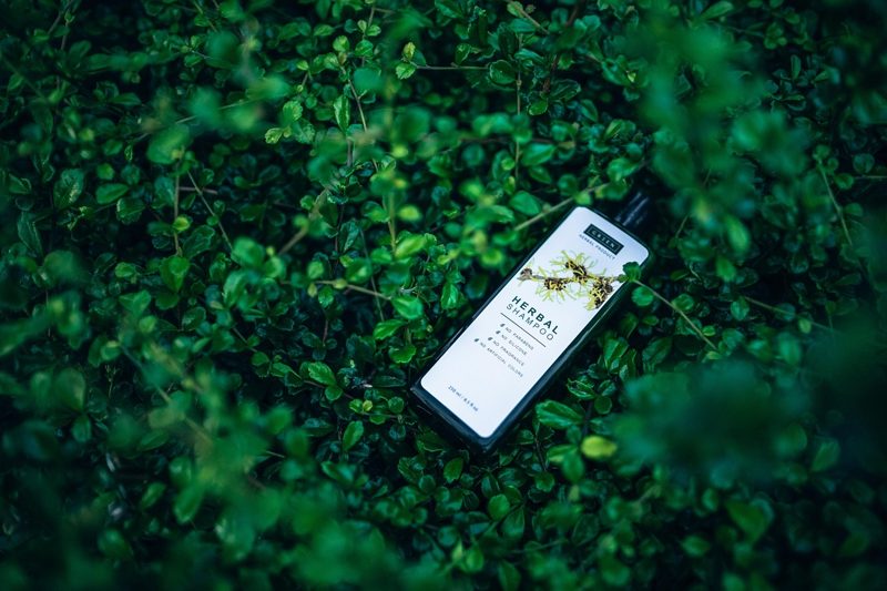 Illustration: An herbal shampoo bottle surrounded by green leaves